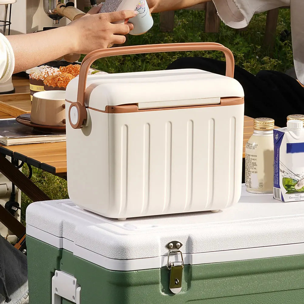 Portable 6L Insulated Ice Cooler Box